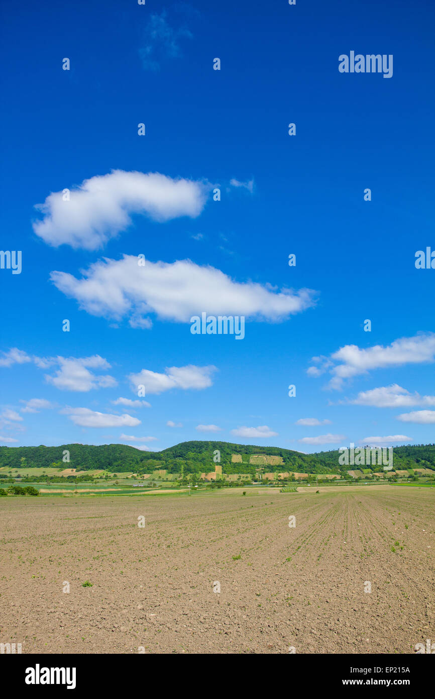 Agricultural Field In North Burgenland Near Donnerskirchen At Lake Neusiedl Bike Way Stock Photo