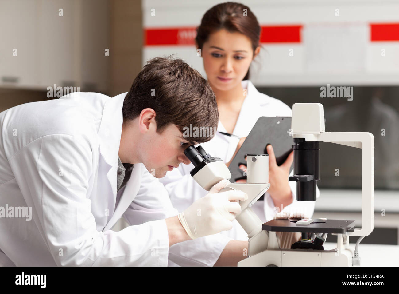 Scientist looking in a microscope while his colleague is writing Stock ...