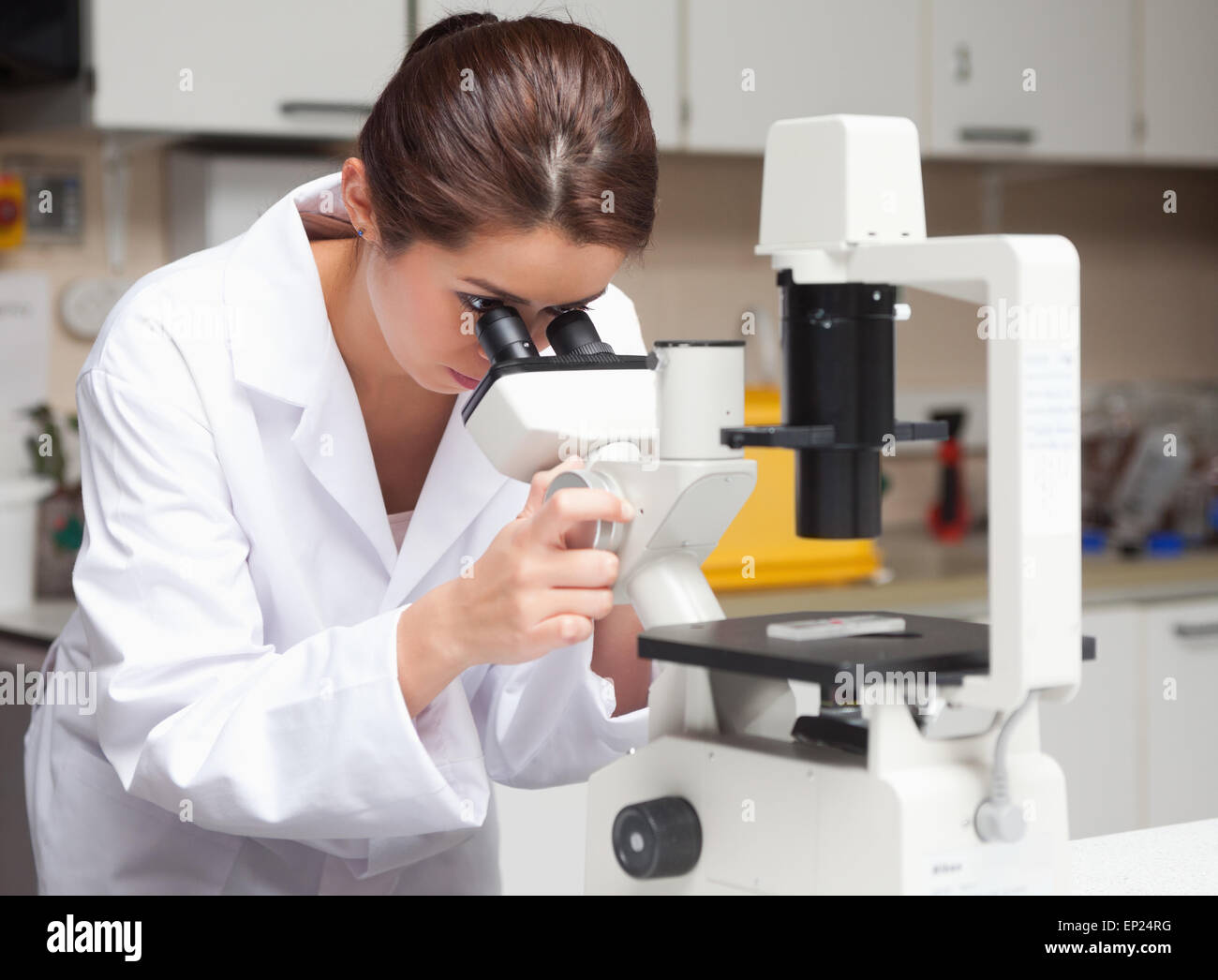 Female science student looking in a microscope Stock Photo - Alamy