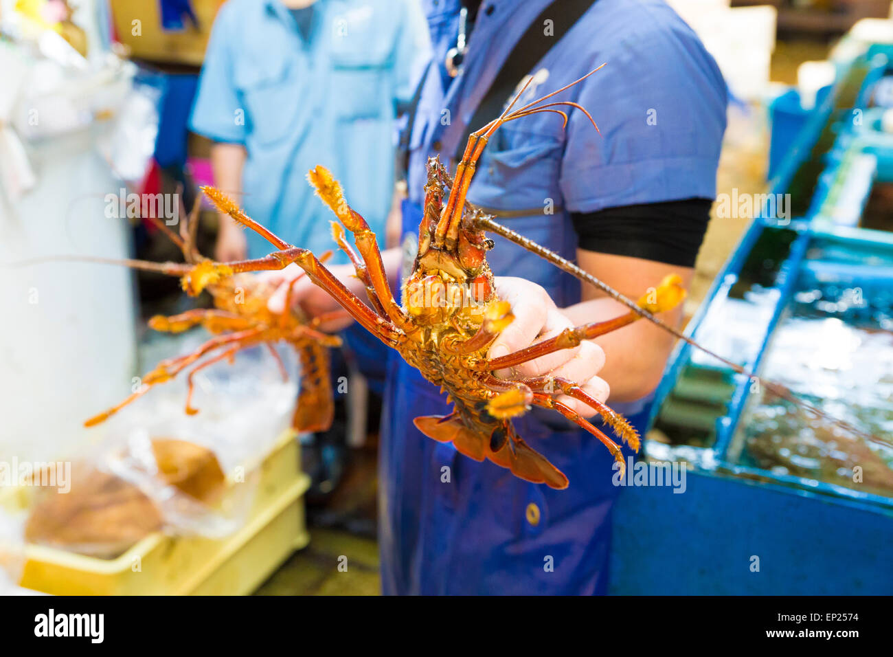 Male hands holding two lobsters at a market Stock Photo Alamy