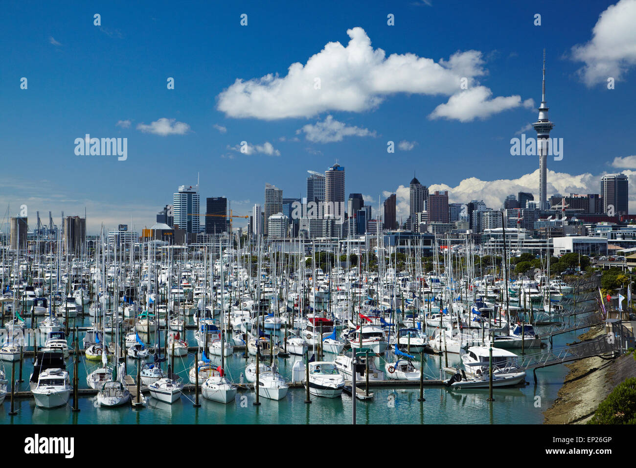 Westhaven Marina, and Sky Tower, Auckland, North Island, New Zealand Stock Photo