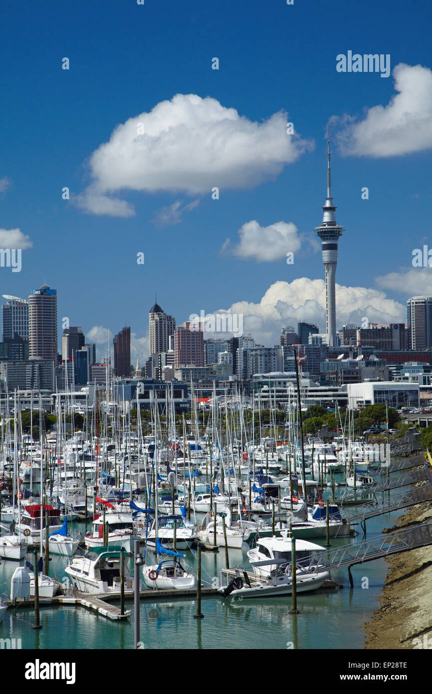 Westhaven Marina, and Sky Tower, Auckland, North Island, New Zealand Stock Photo