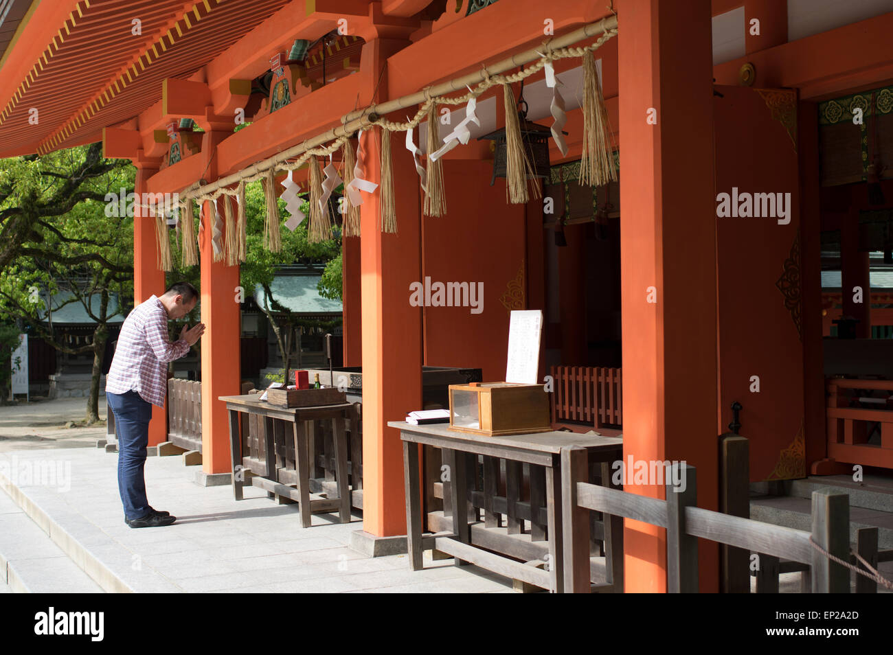 Praying at Sumiyoshi Shrine ( Shinto ) Fukuoka, Kyushu, Japan Stock Photo