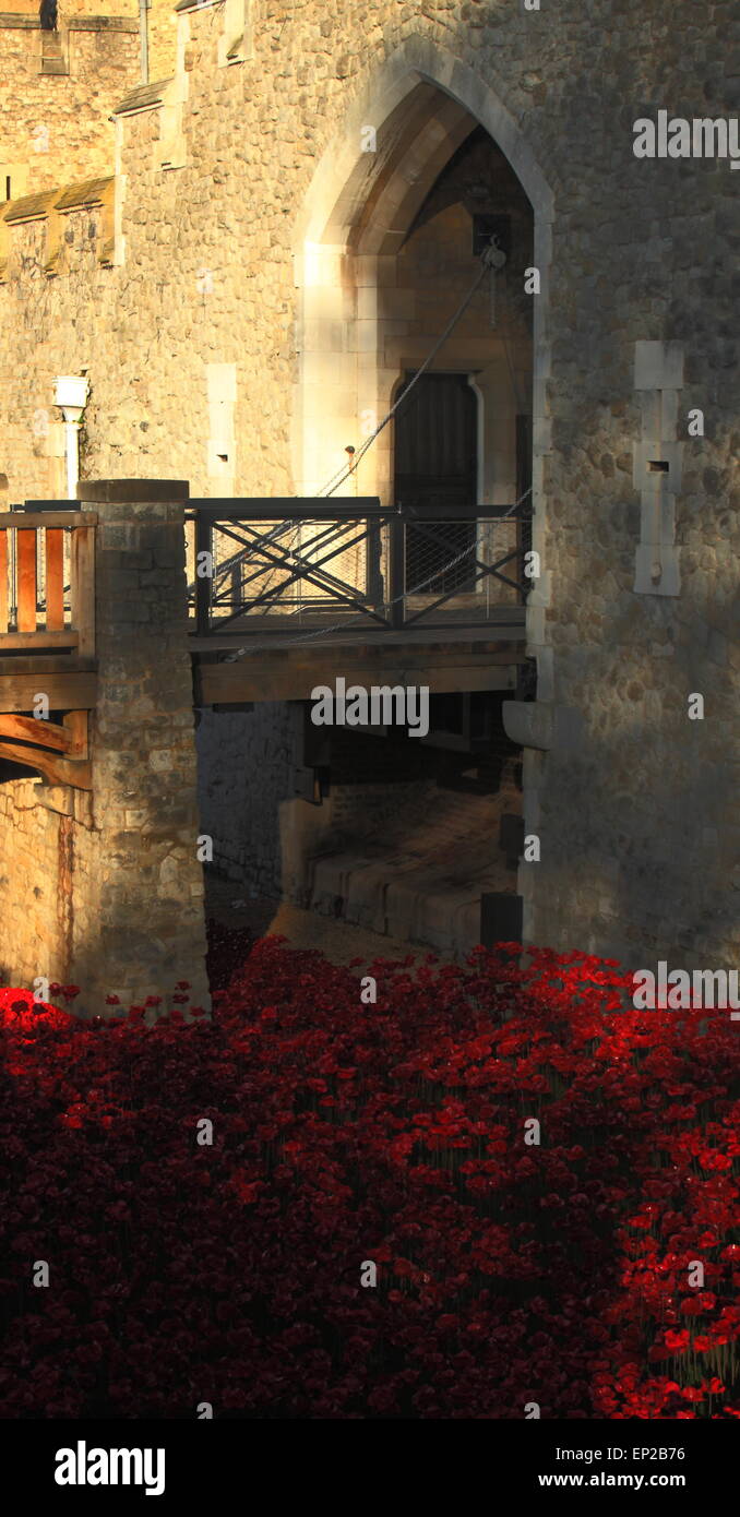 Red poppies commemorating the War dead of World War 1 at the Tower of London Stock Photo