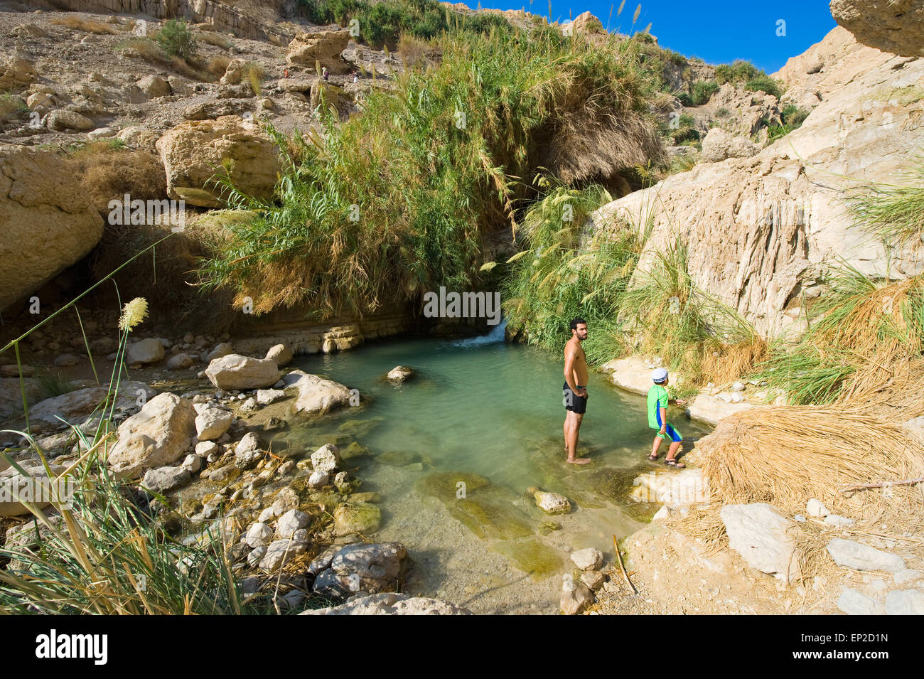 A man and a child are relaxing in the water of the oasis Ein Gedi close to the dead sea in Israel Stock Photo