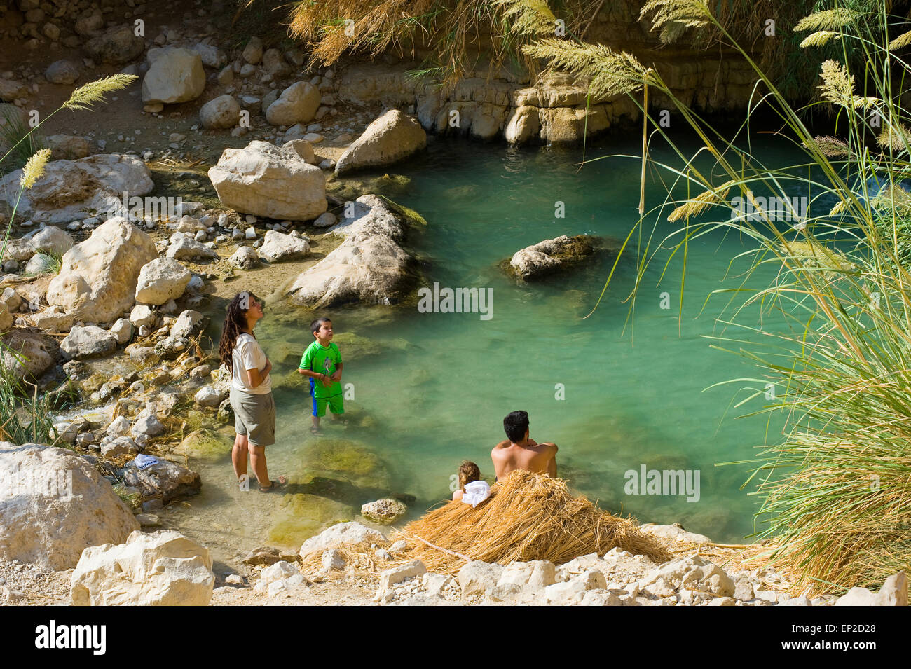 A family is relaxing in the water of the oasis Ein Gedi close to the dead sea in Israel Stock Photo