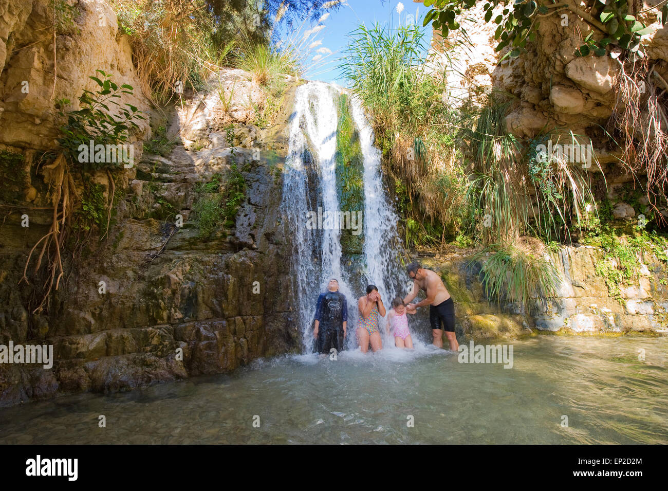 Children and a man are playing in one of the waterfalls of the oasis Ein Gedi close to the dead Stock Photo