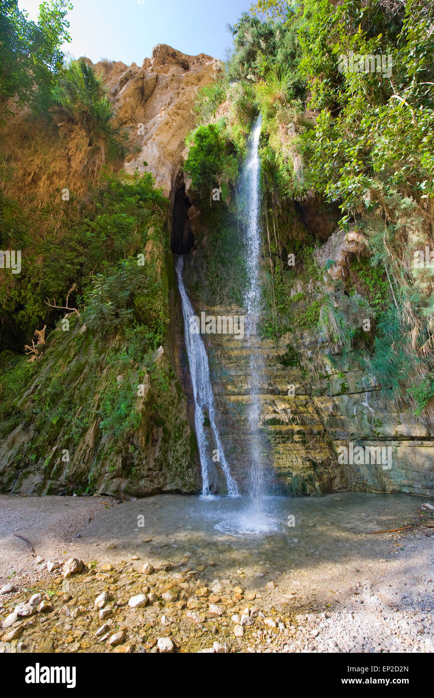 One of the waterfalls of nature reserve Ein Gedi close to the dead sea in Israel Stock Photo