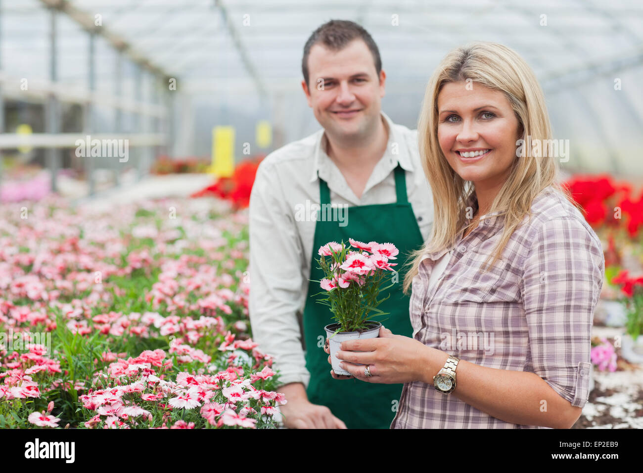 Smiling woman holding flower pot with employee Stock Photo - Alamy
