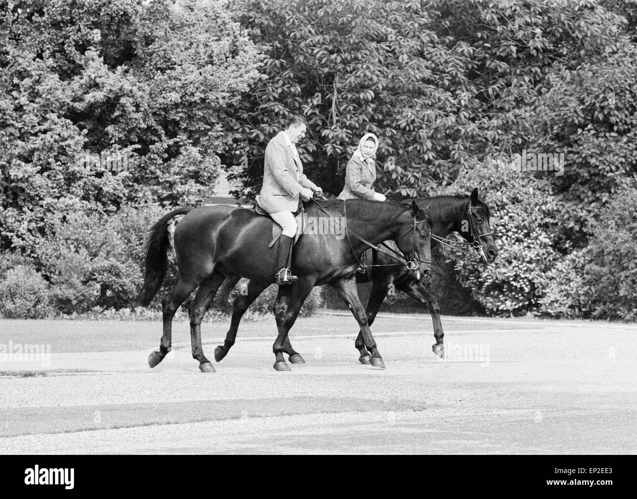 American President Ronald Reagan astride the horse Centennial riding with Queen Elizabeth II on Burmese during their morning ride in Windsor Great Park during the President's visit to Britain. 8th June 1982. Stock Photo