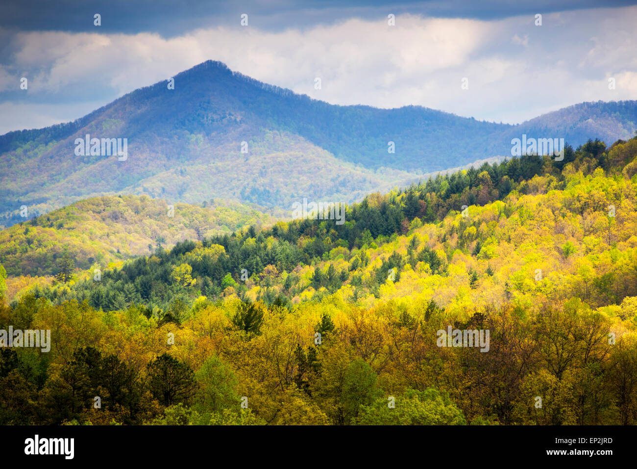 Chattahoochee National Forest