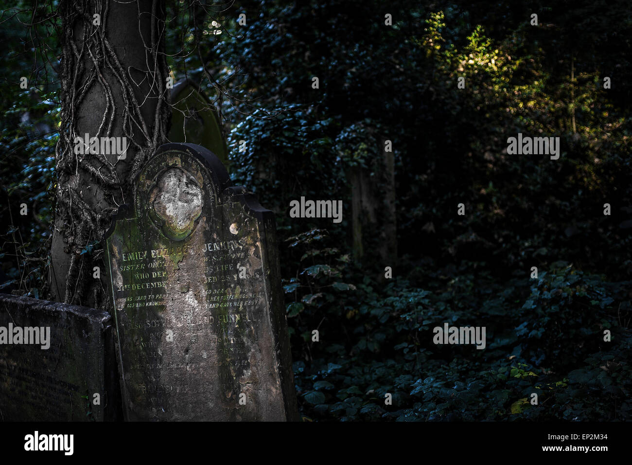 A headstone in Tower Hamlets Cemetery in the East End of London. Stock Photo