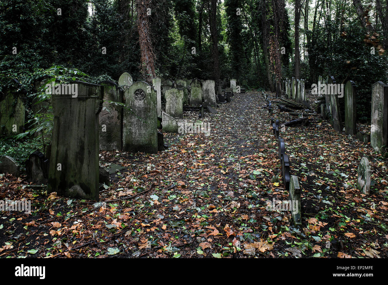 A path running through Tower Hamlets Cemetery in the East End of London. Stock Photo