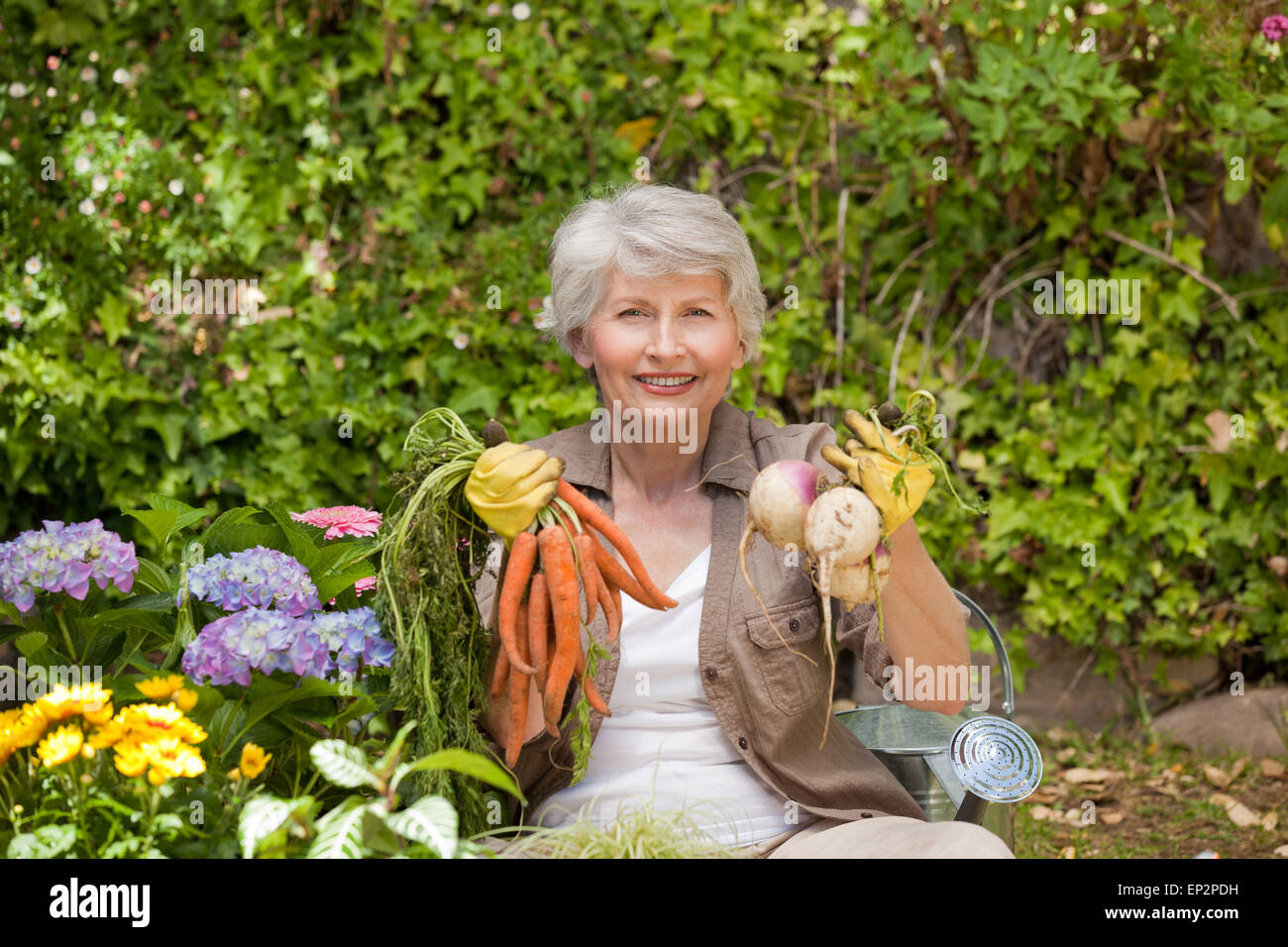 Retired woman working in the garden Stock Photo - Alamy