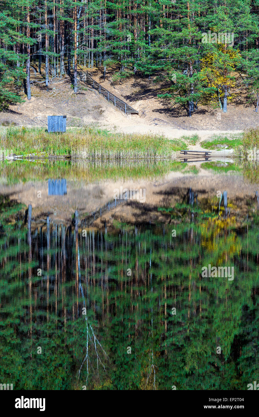 Estonia, Odri lake, trees reflecting on calm water Stock Photo