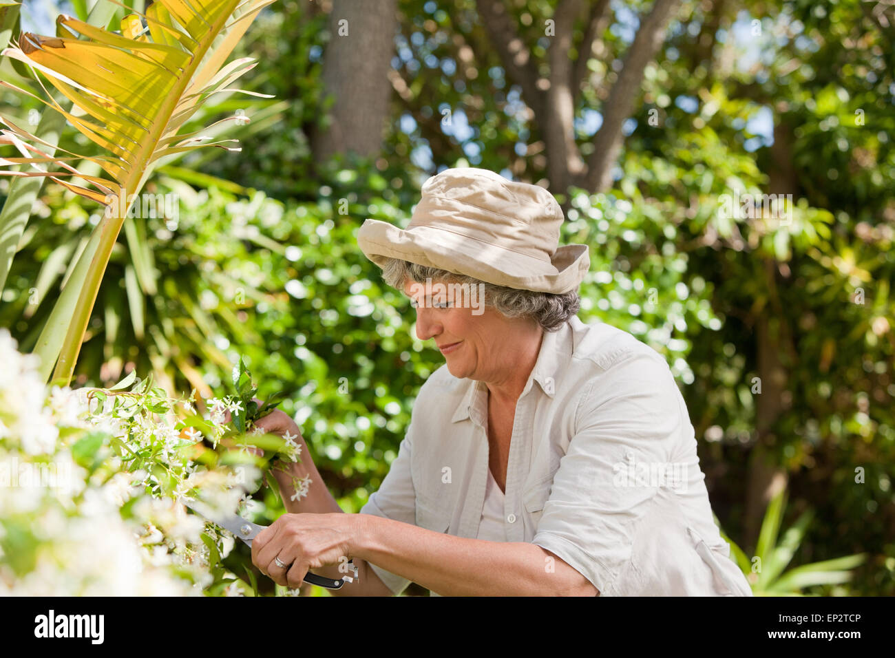 Mature woman working in her garden Stock Photo - Alamy