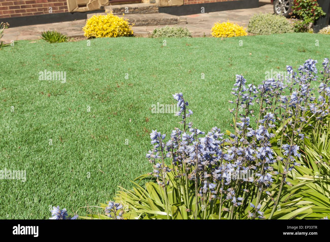 Low maintenance blending in a plastic grass lawn beside patio and flower border no mowing or cutting the lawn quite realistic Stock Photo