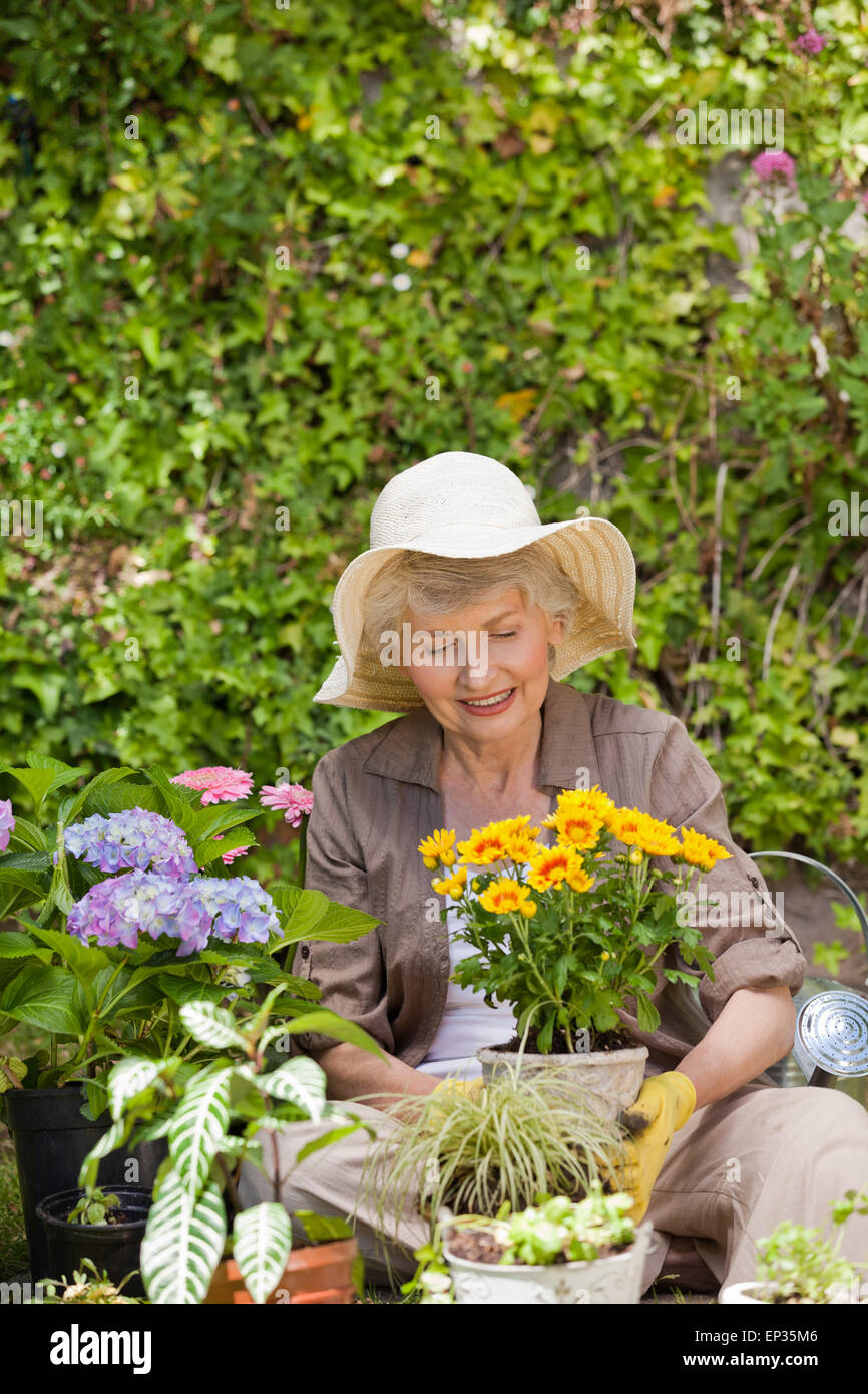 Retired woman working in the garden Stock Photo - Alamy