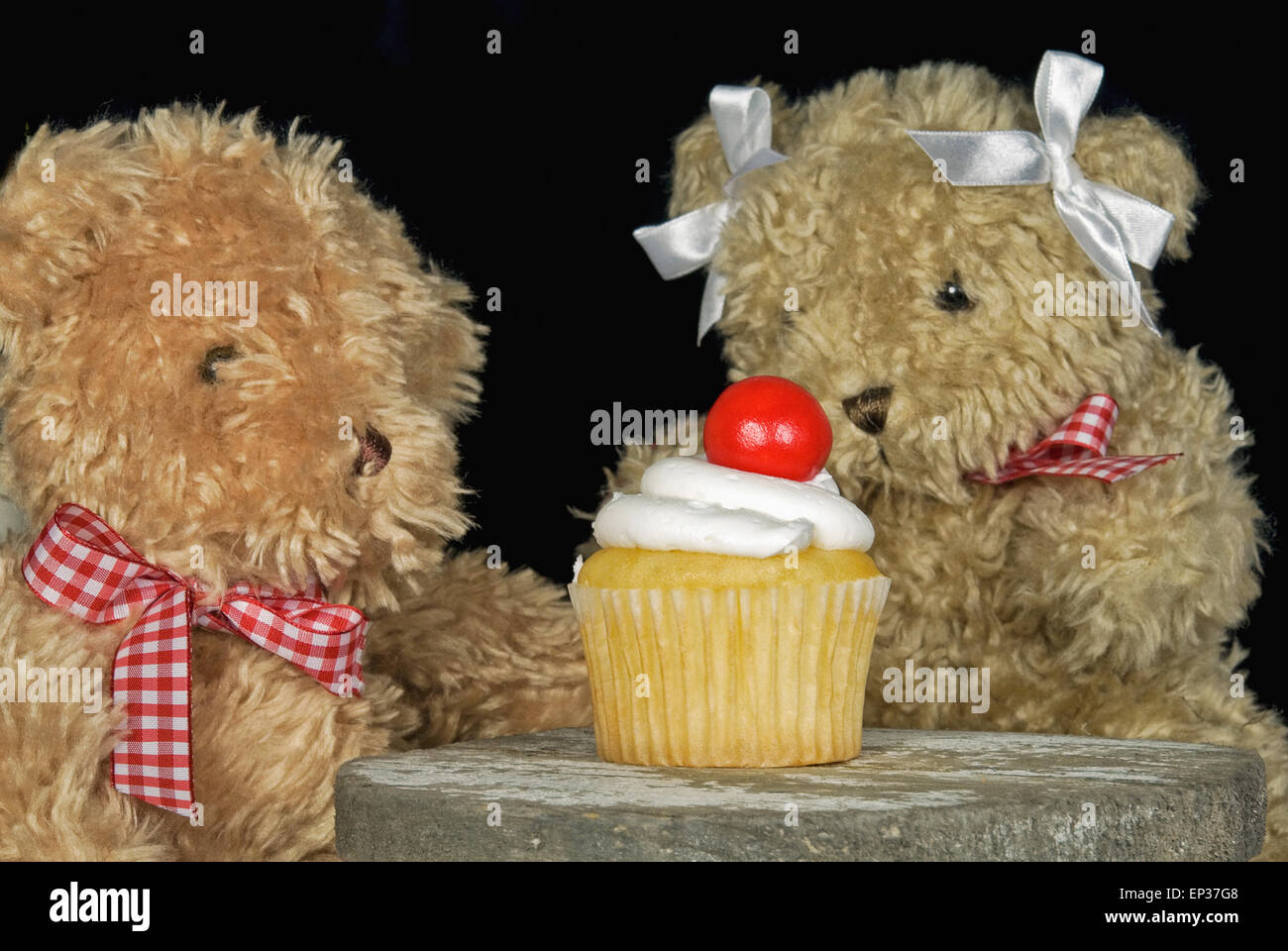 Pair of teddy bears with a gumball on cupcake. Stock Photo