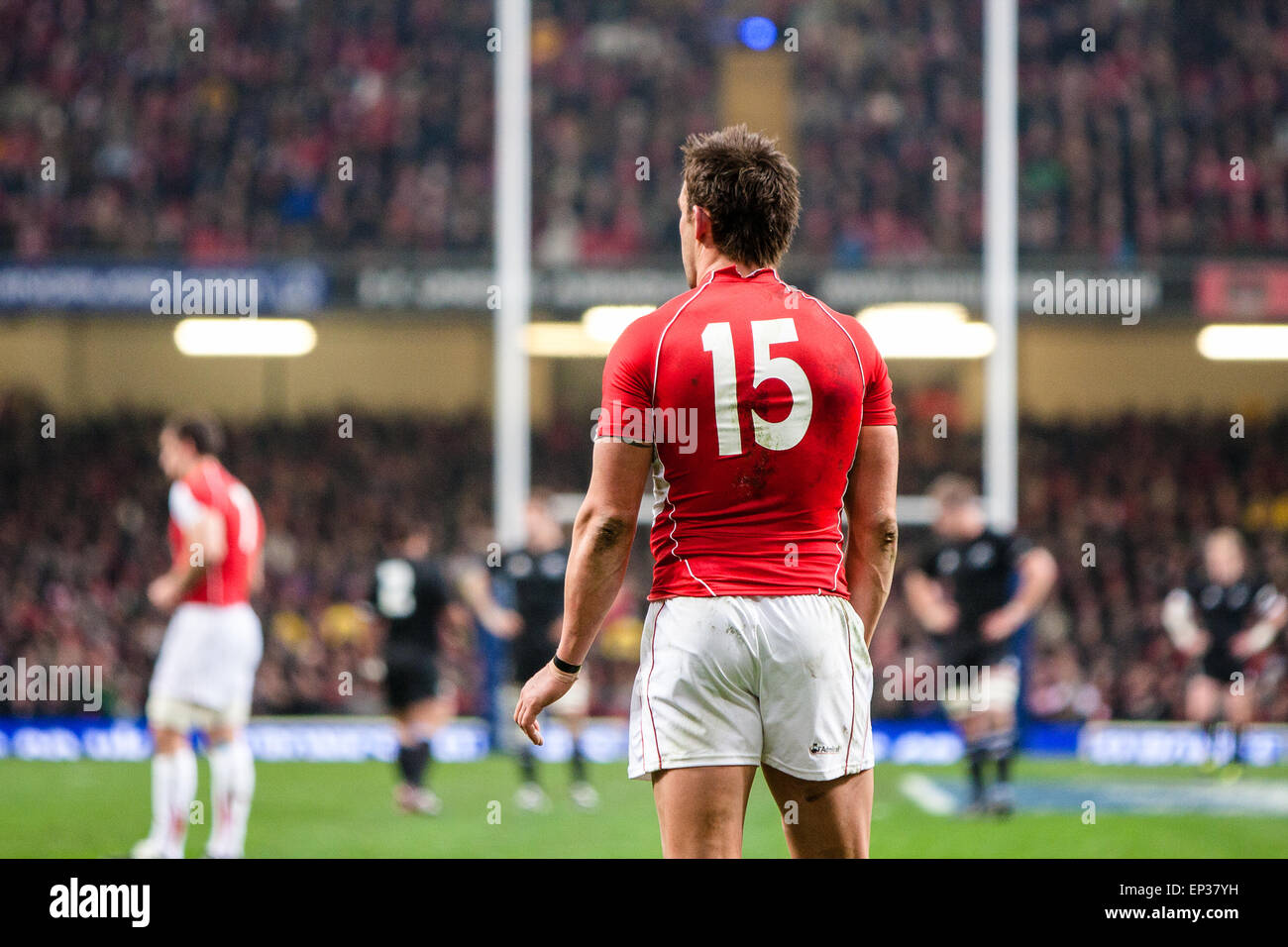 At rugby match, Wales v New Zealand. The All Blacks/New Zealand beat ...
