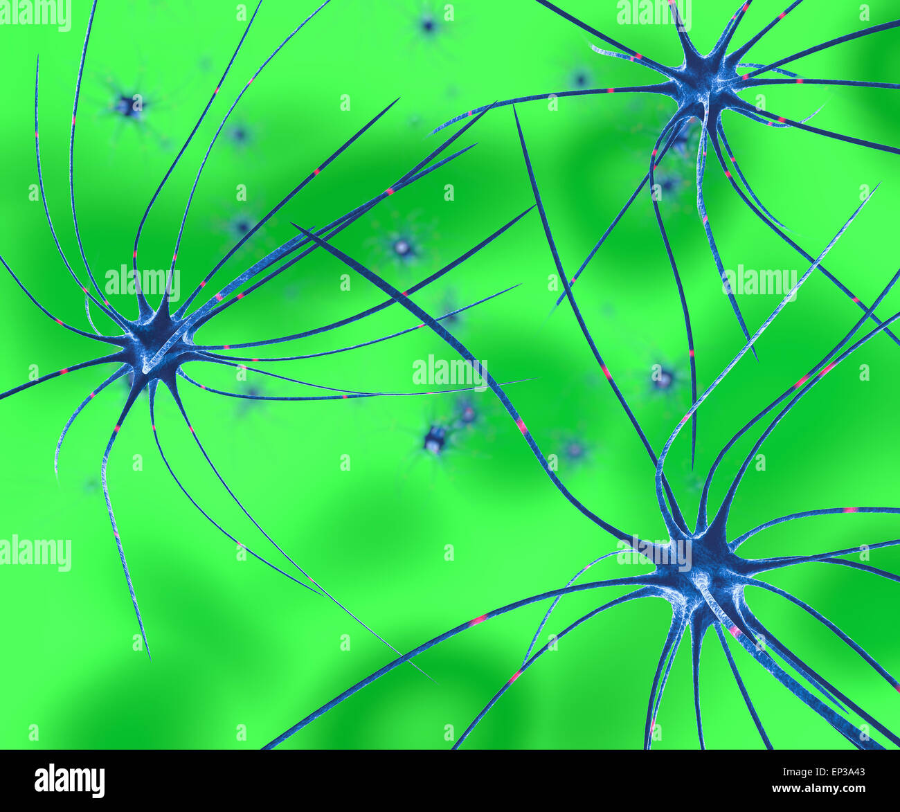 Render of group of neurons on green background Stock Photo