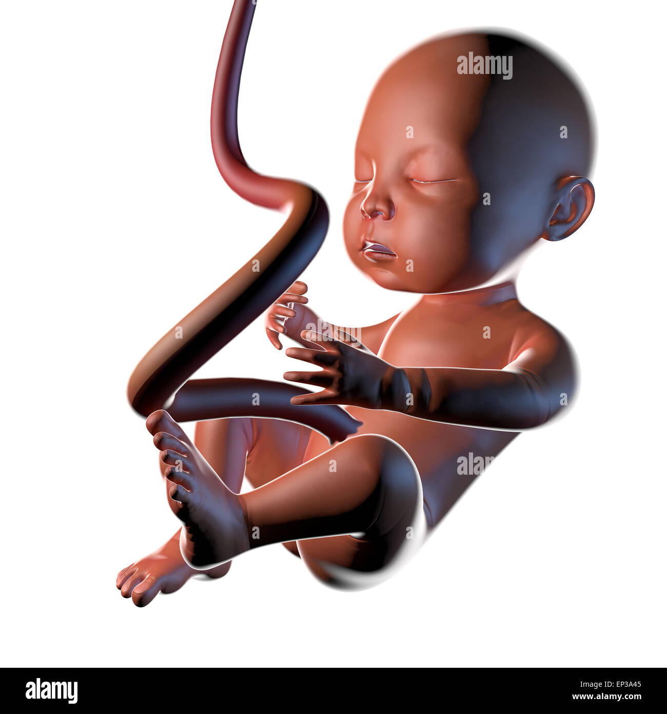 umbilical cord cartoon