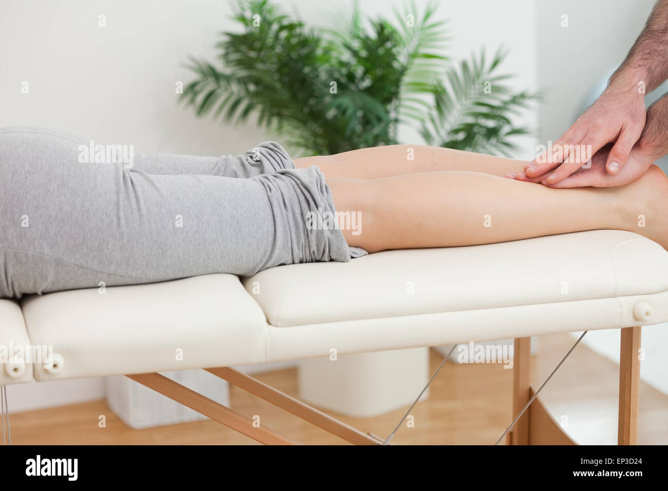 Physiotherapist massaging the legs of a woman Stock Photo Alamy — free download