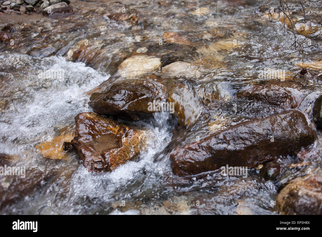 Stones in a flowing river in Italian Alps. Stock Photo