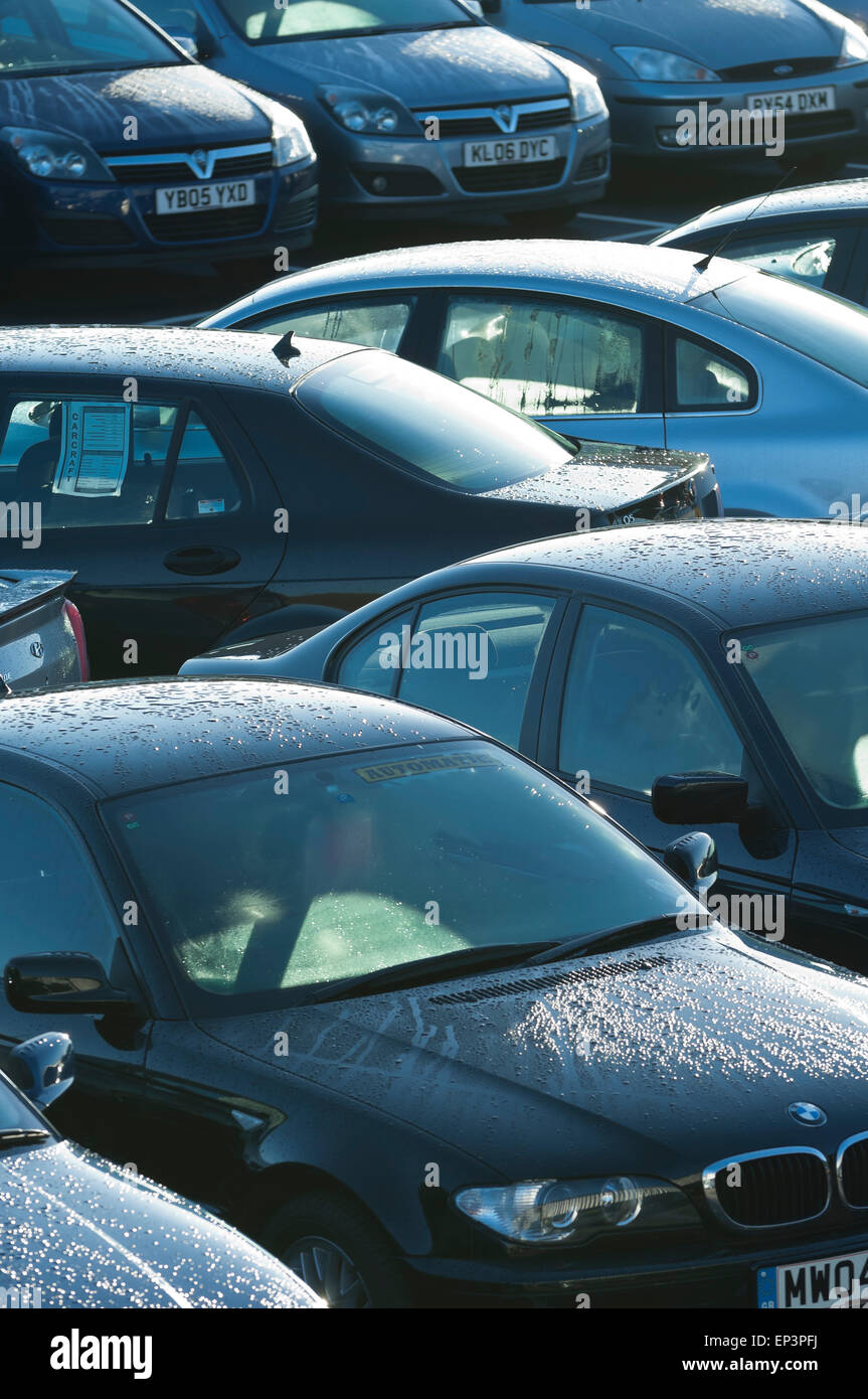 Wet cars parked outside at a secondhand car supermarket Stock Photo Alamy