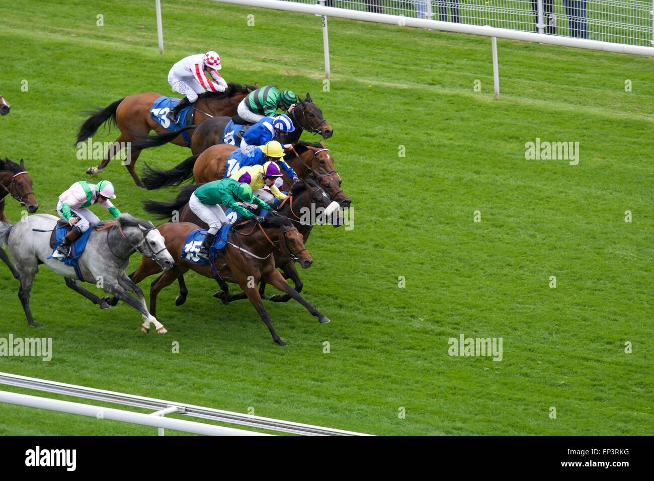 York, UK. 13th May, 2015. Glass Office (number 4) , the grey nearest to the fence, ridden by Jim Crowley forces its way to  win the third race of the day - The Duke of York Clipper Logistics Stakes - at the Dante Festival at York. Horse-racing at York  UK Credit:  John Fryer/Alamy Live News Stock Photo