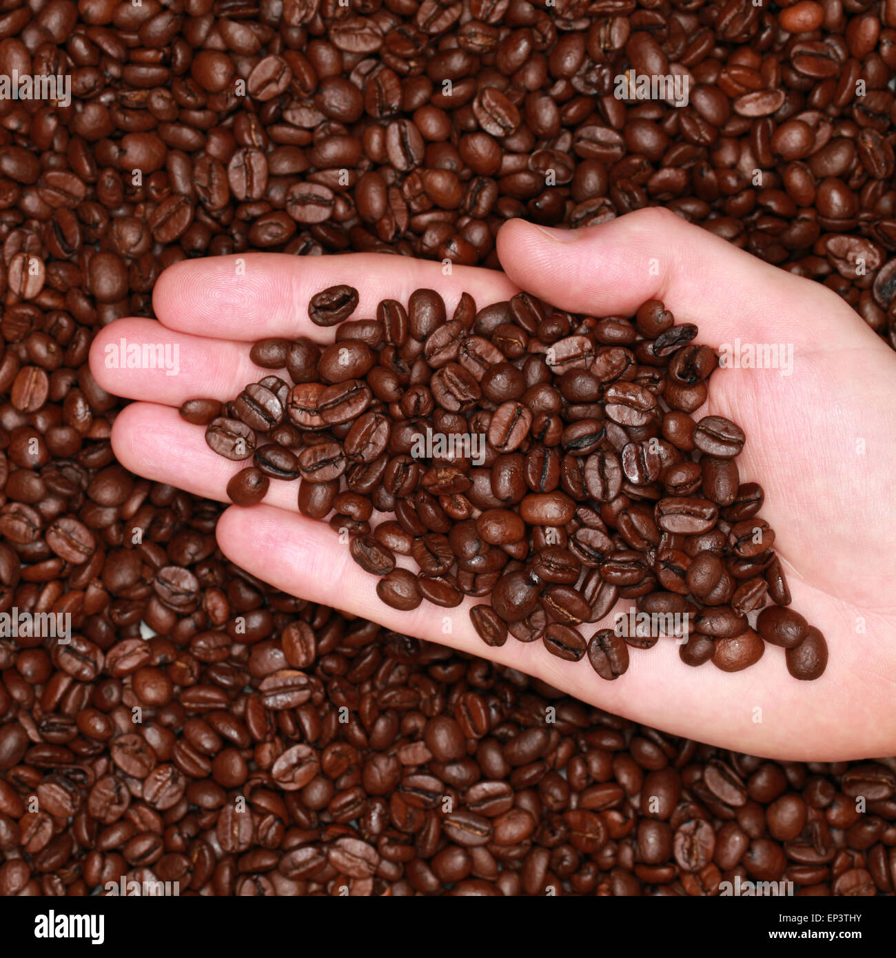 Hand mit Kaffeebohnen Stock Photo