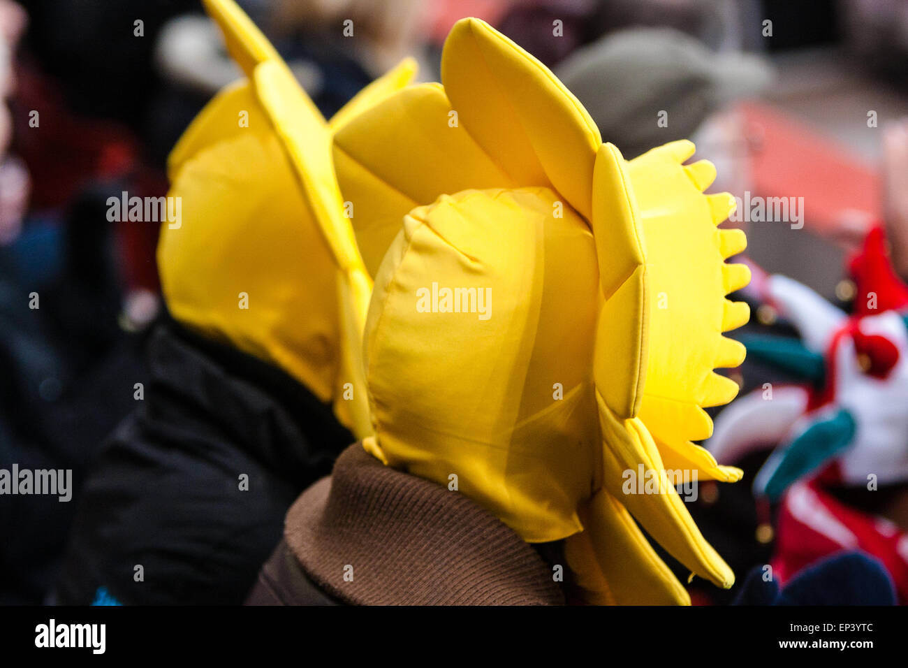 Wales Fan Daffodil Hat Stock Photos Wales Fan Daffodil Hat