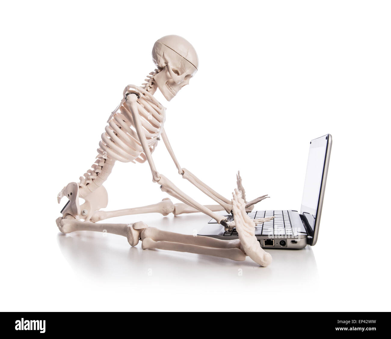 Skeleton working on laptop Stock Photo