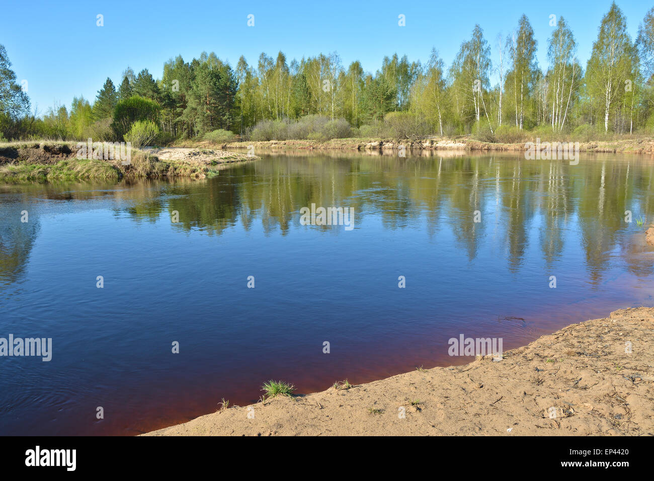 River spring landscape in the national Park 