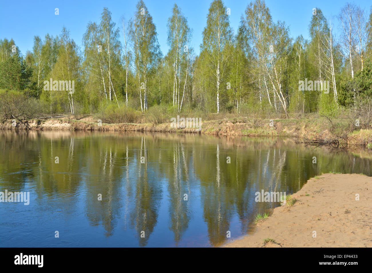 River spring landscape in the national Park 