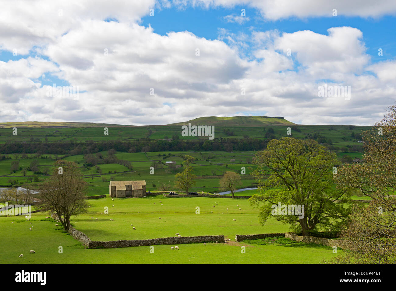 Field Barn In Wensleydale Yorkshire Dales National Park North