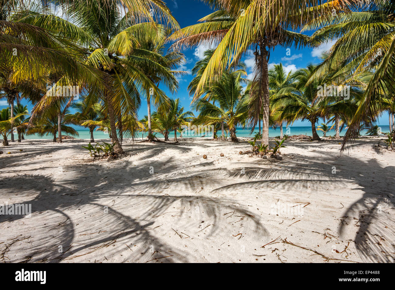 Bay of campeche hi-res stock photography and images - Alamy