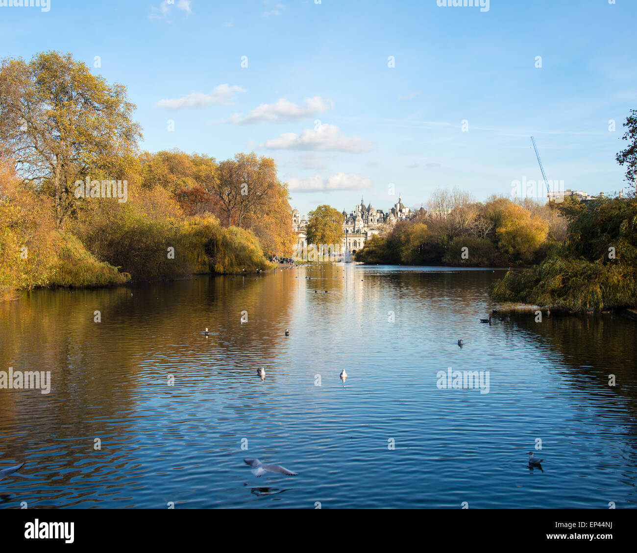Fall autumn season in the forest Stock Photo - Alamy