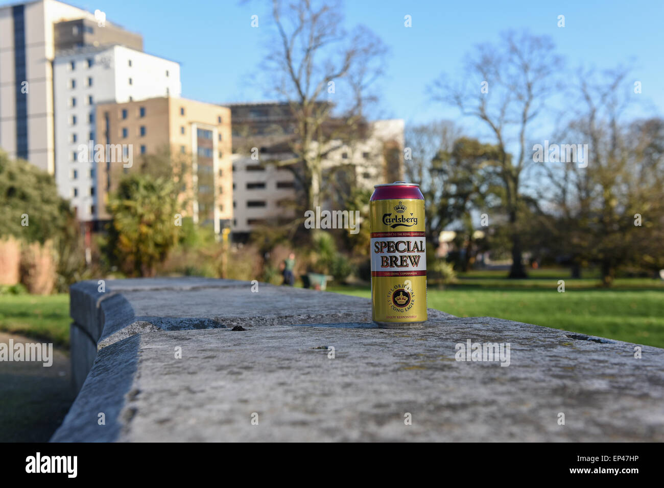 A can of Special brew in the park a favorite for homeless people Stock Photo