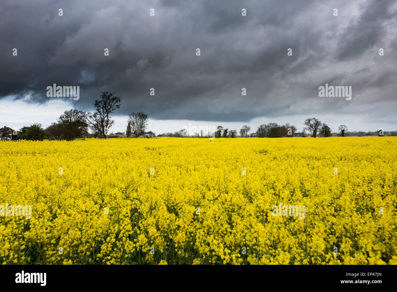 Thunder clouds cambridgeshire hi-res stock photography and images - Alamy