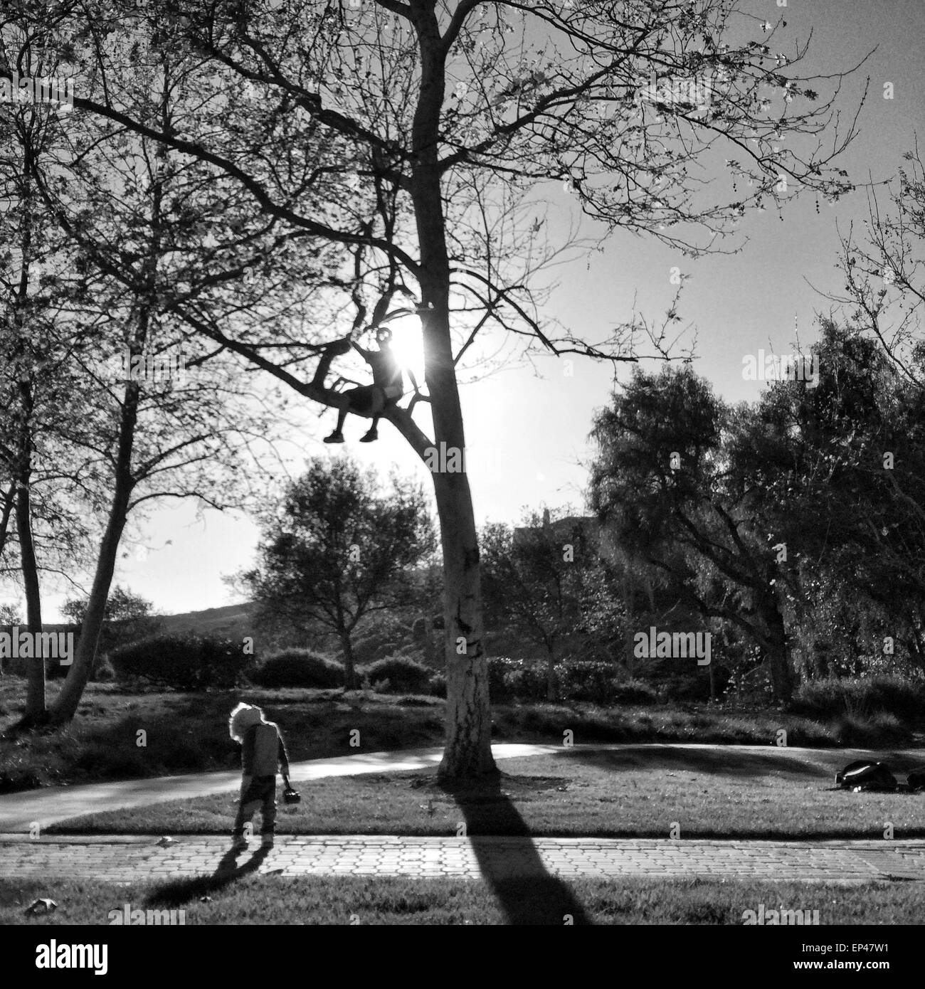 Boy sitting in a tree looking down at his friend Stock Photo