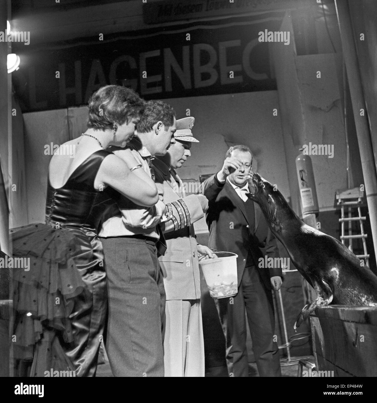 Windhund und Seehund, Fernsehfilm, Deutschland 1958, Regie: Wolfgang Spier, Darsteller: Herbert Weissbach, Ilse Kiewiet Stock Photo