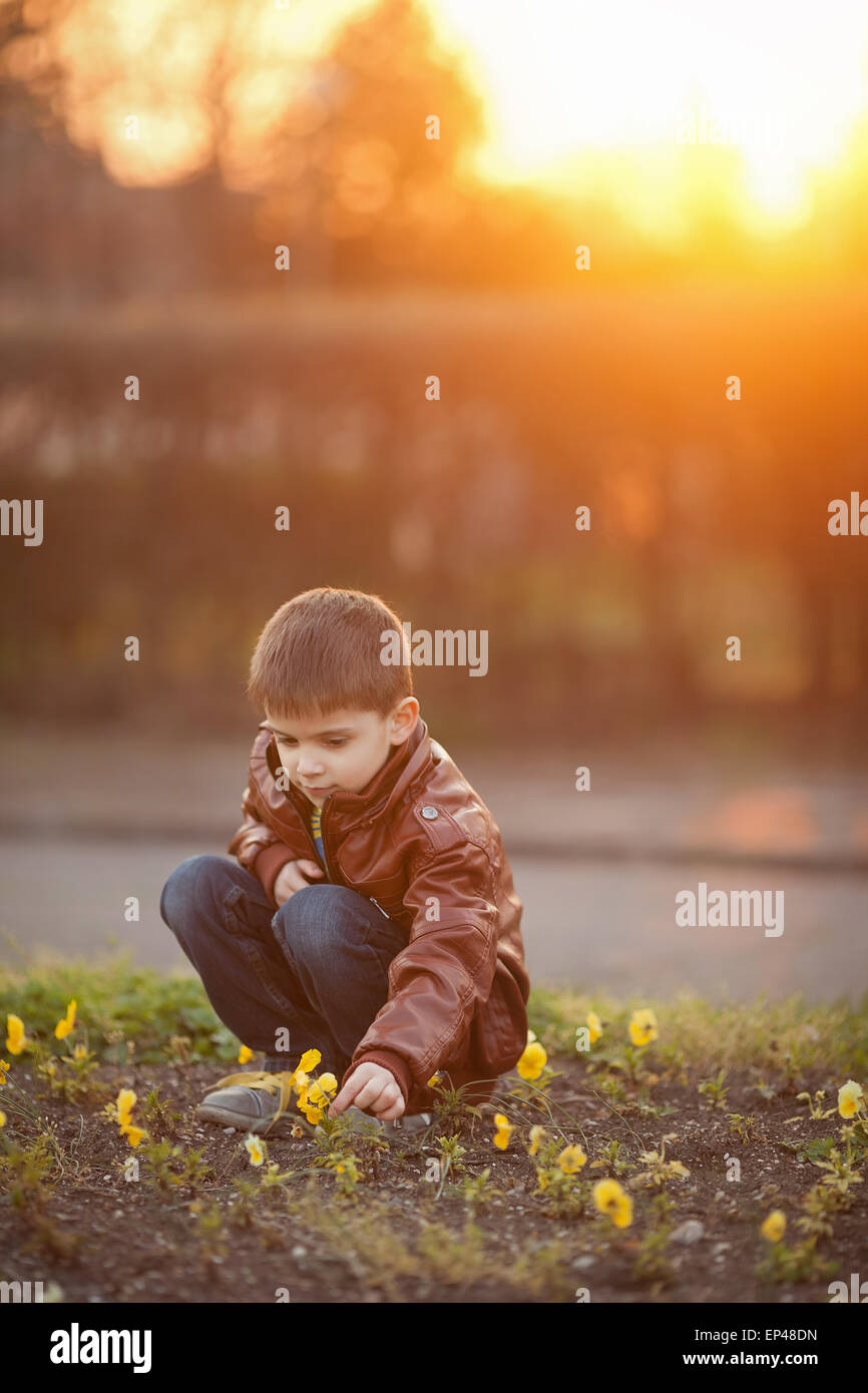 Boy picking flowers at sunset Stock Photo Alamy