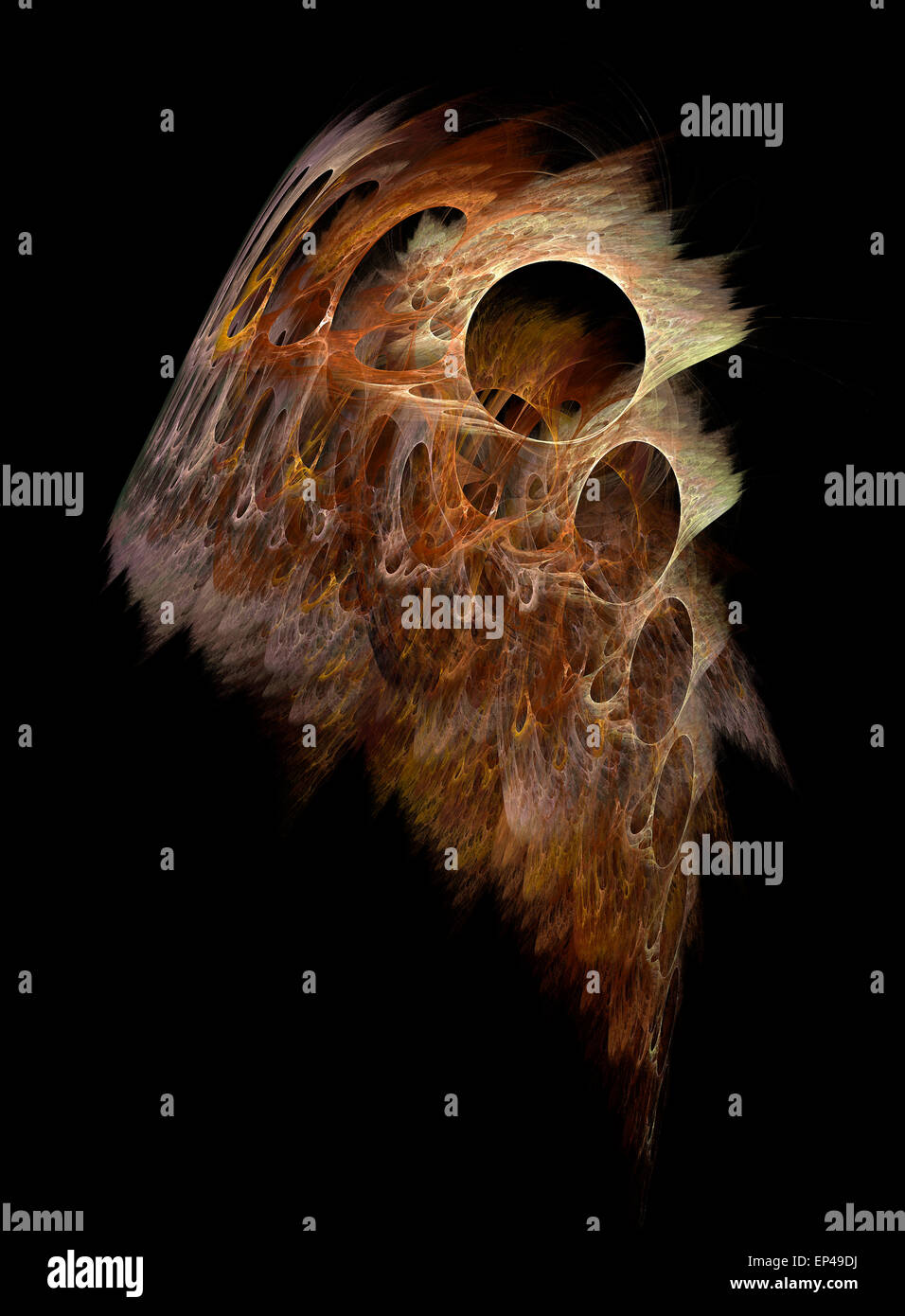 Distinctive wing patterns hi-res stock photography and images - Alamy