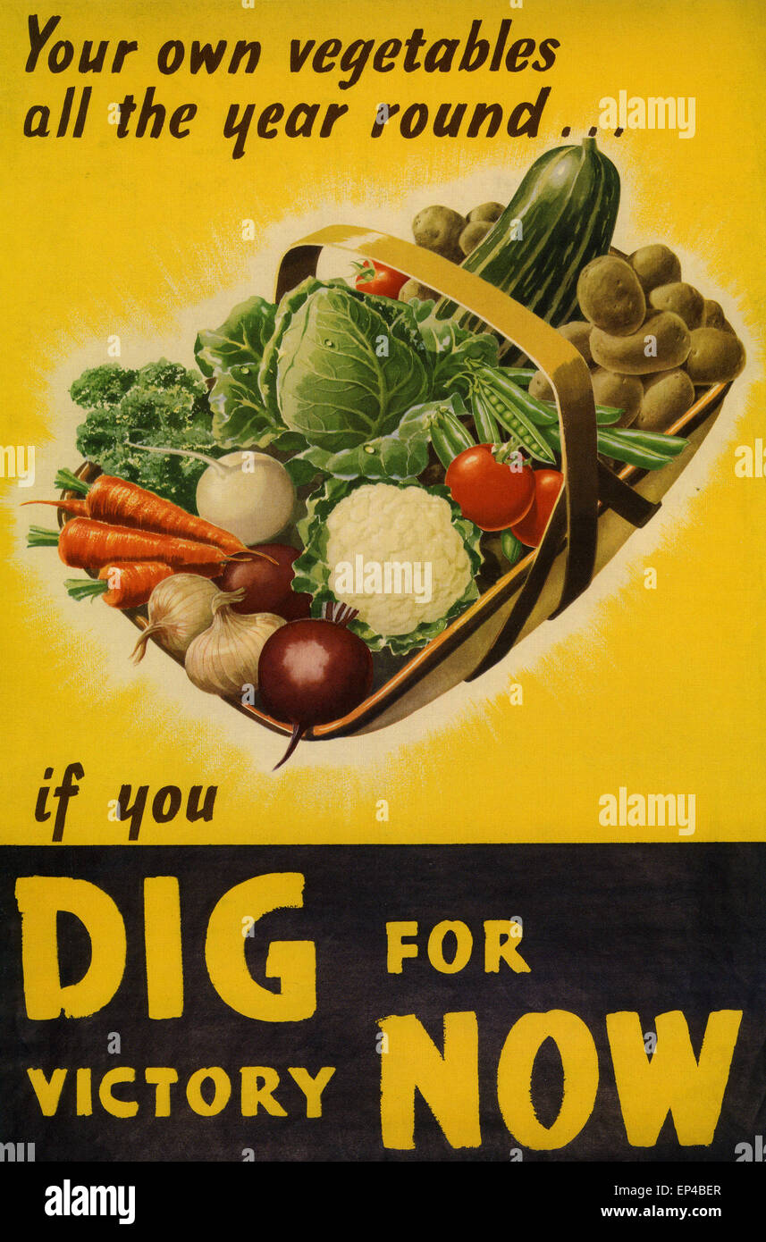 DIG NOW FOR VICTORY British Ministry of Health poster about 1942 Stock Photo