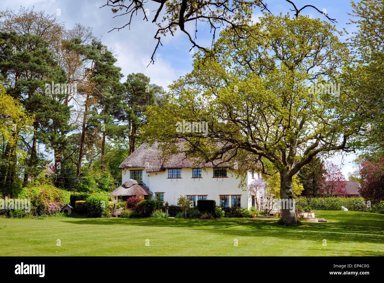 thatched cottage in the New Forest, Hampshire, England, UK Stock Photo