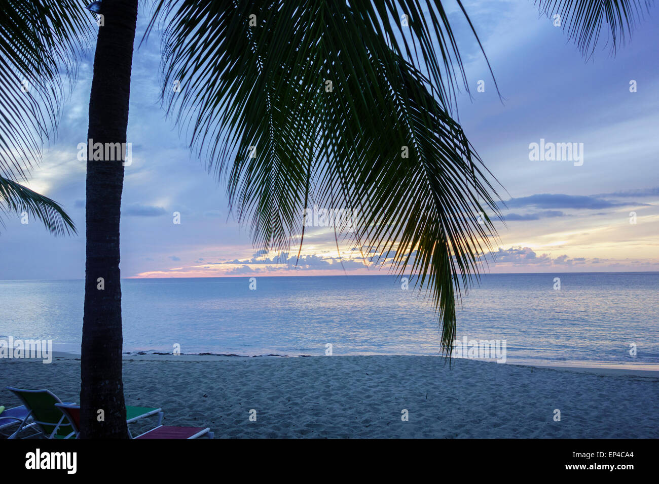 Sandcastle  Beach at dawn, showing the sea and a palm tree.  St. Croix, U.S. Virgin Islands. Stock Photo