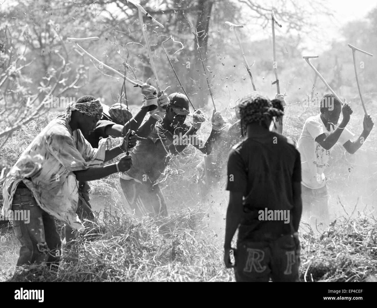 Saloum Black and White Stock Photos & Images - Alamy