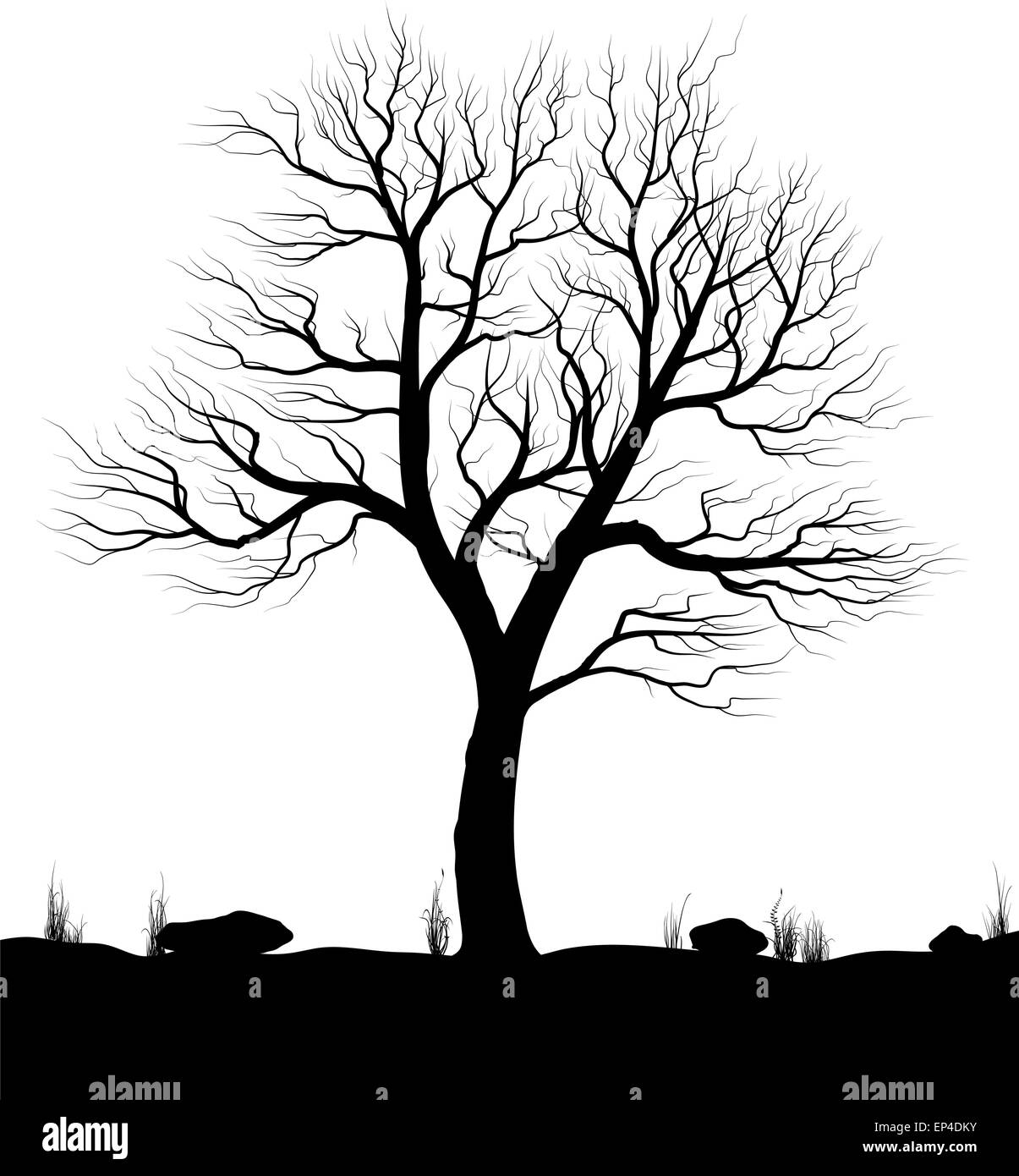 Landscape with old tree and grass over white background. Black and white vector illustration. Stock Vector