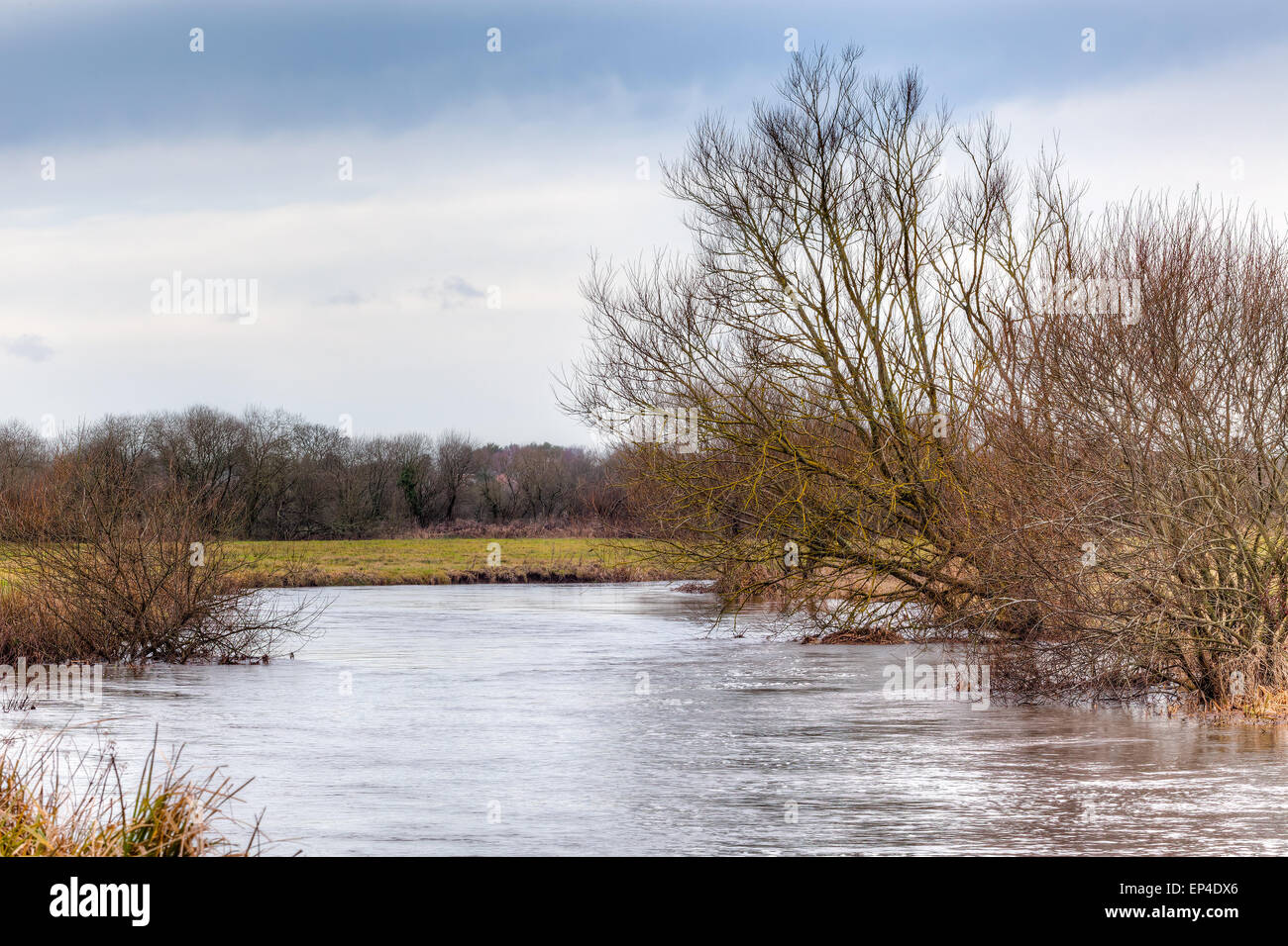 The River Frome at Wool Dorset England UK Europe Stock Photo Alamy
